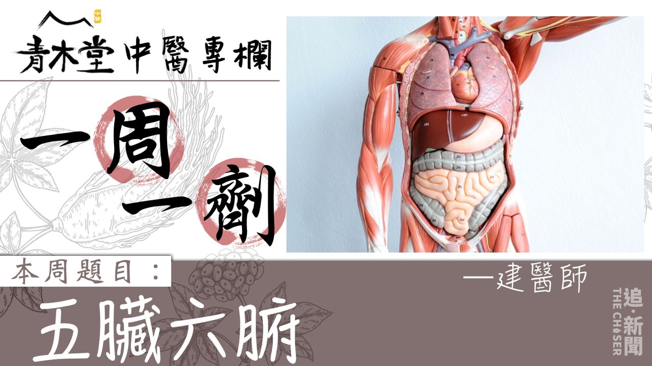 一周一劑|五臟六腑 (建醫師) - 追新聞